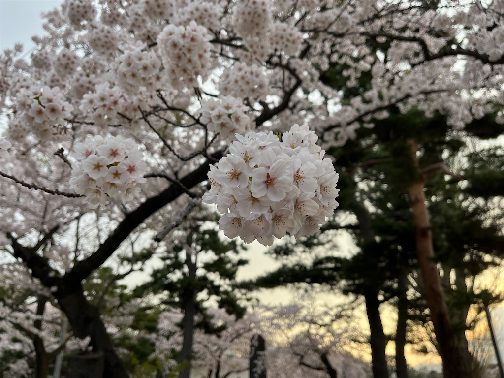 f:id:tateisu19:20220426204222j:image