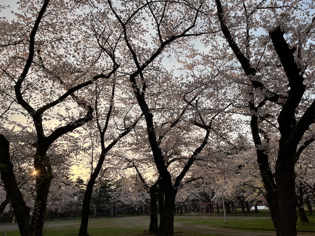 f:id:tateisu19:20220426204231j:image