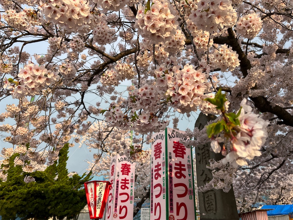 f:id:tateisu19:20220426204234j:image