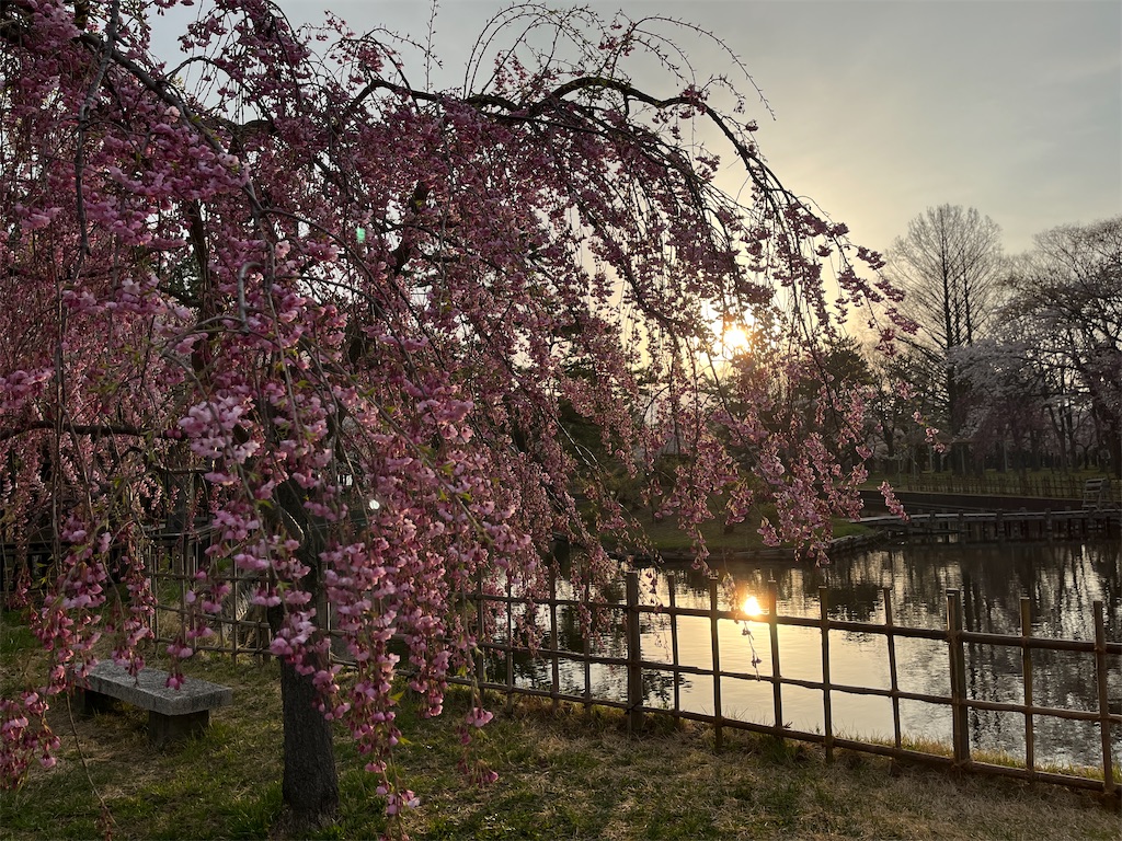 f:id:tateisu19:20220426204250j:image