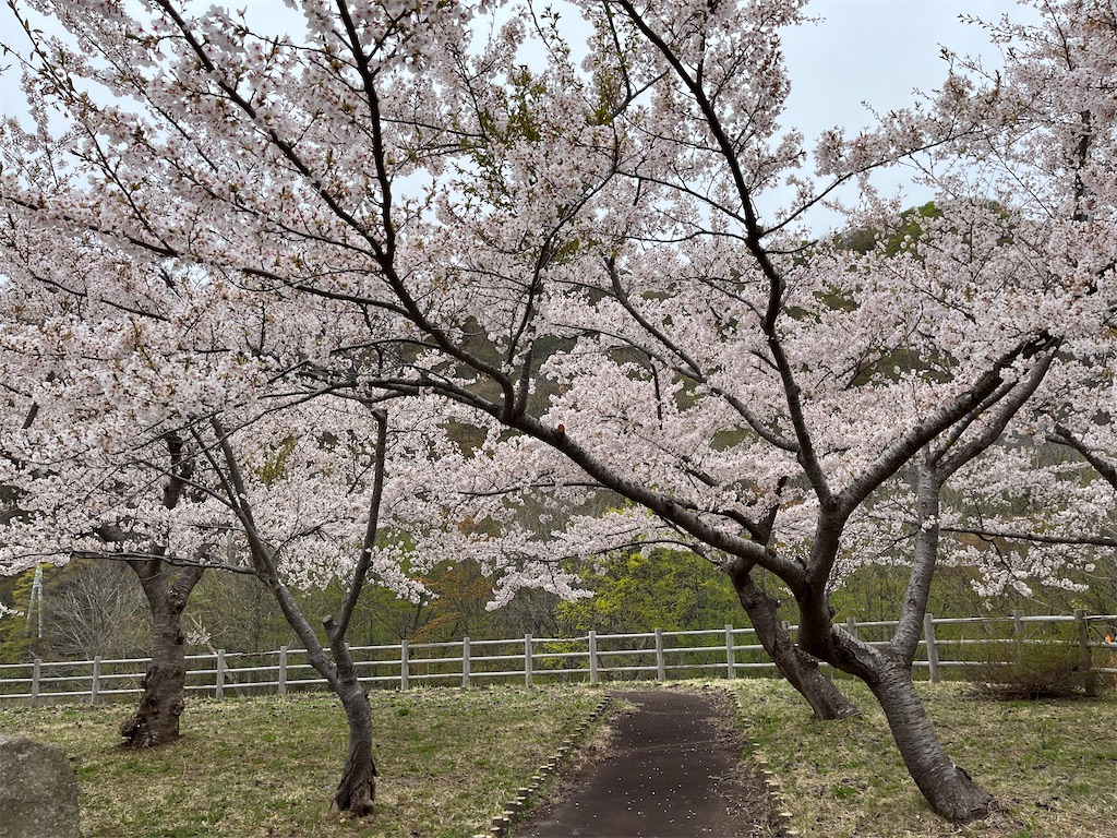 f:id:tateisu19:20220430070036j:image