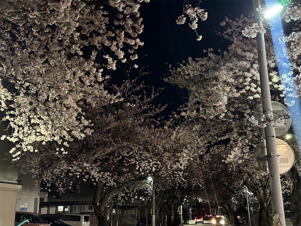 f:id:tateisu19:20230411220839j:image