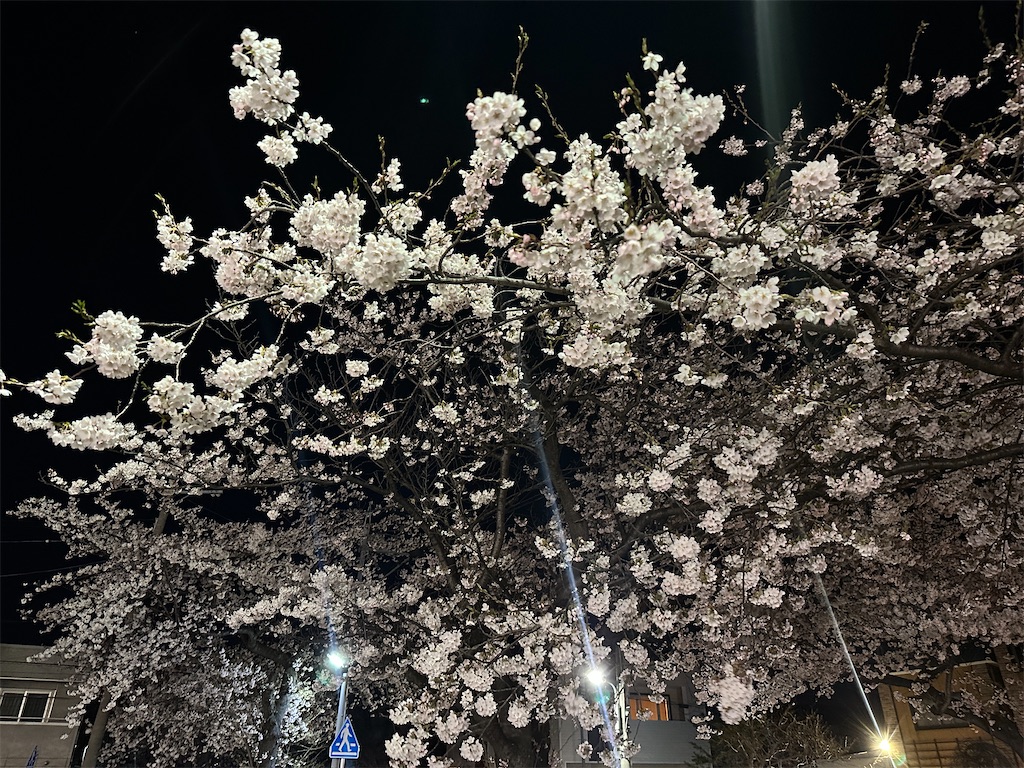 f:id:tateisu19:20230411220842j:image