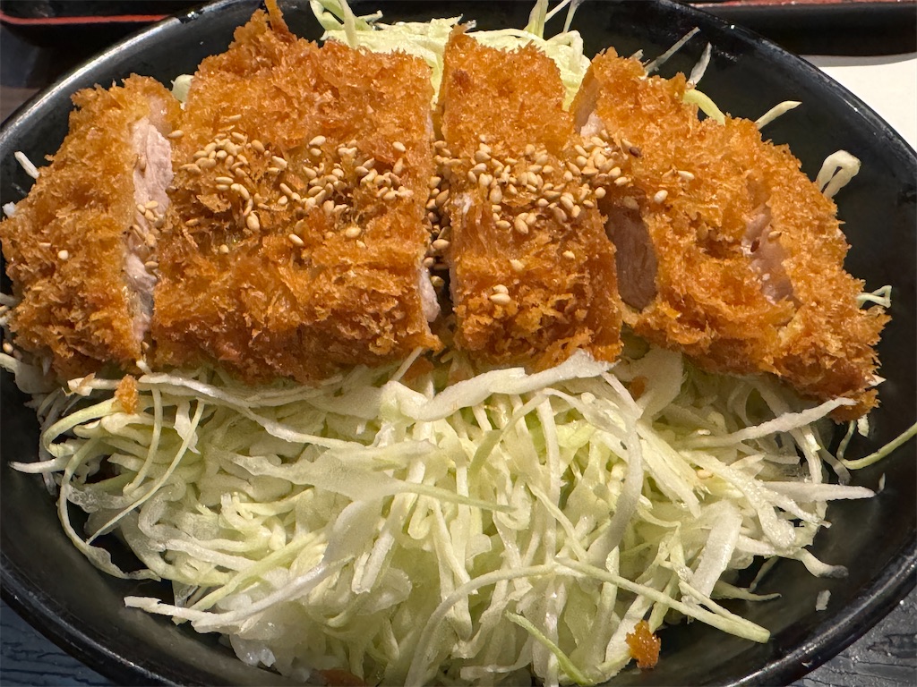 f:id:tateisu19:20240318213038j:image