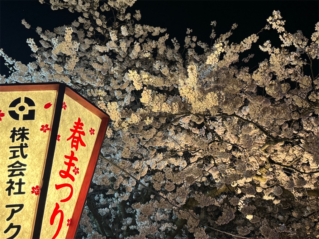 f:id:tateisu19:20240423224955j:image
