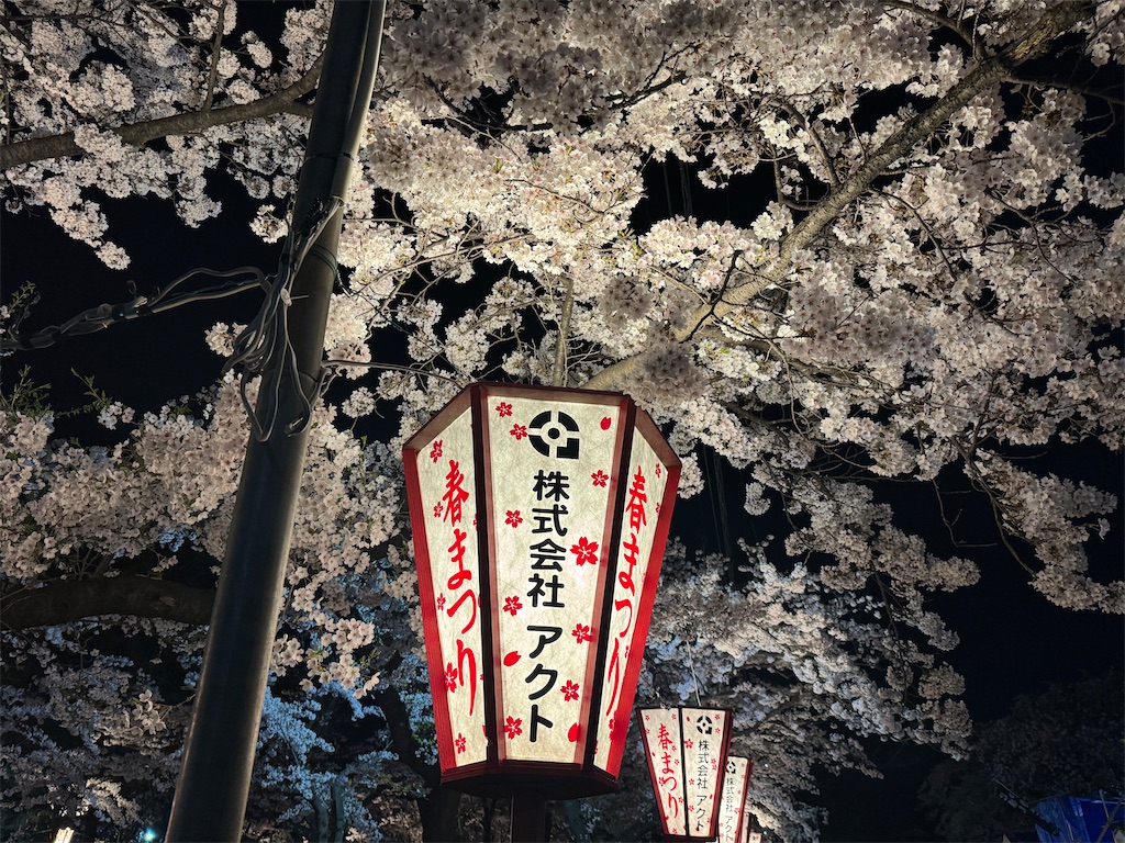 f:id:tateisu19:20240423224959j:image