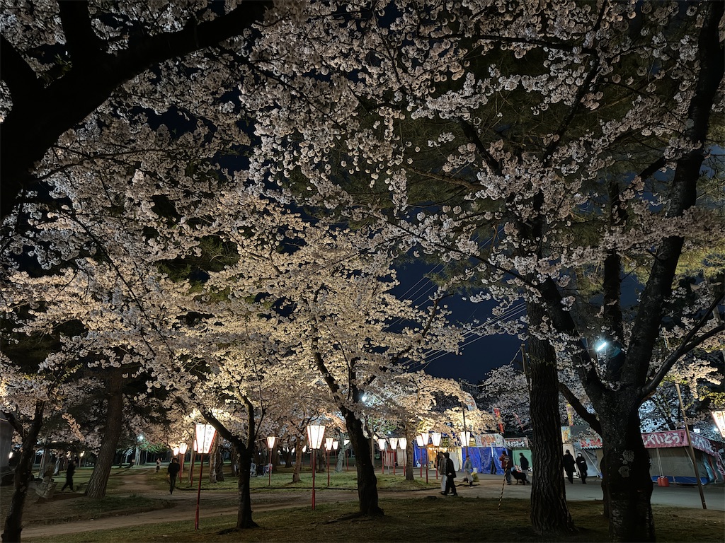 f:id:tateisu19:20240423225016j:image