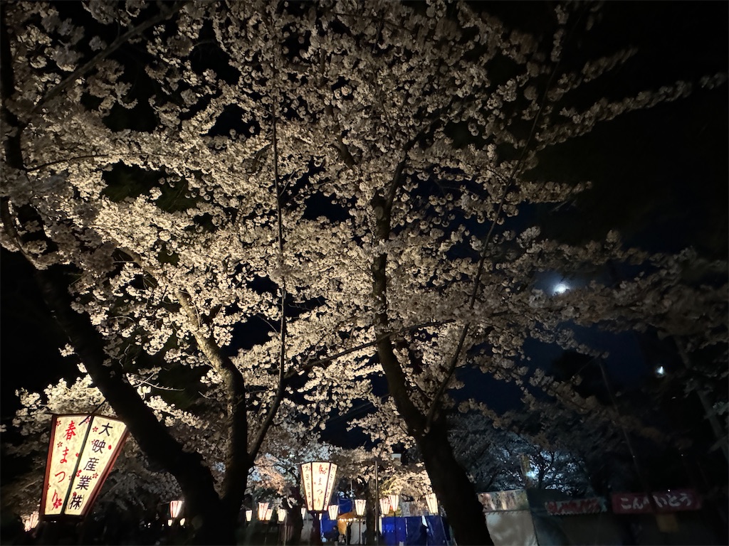 f:id:tateisu19:20240423225020j:image