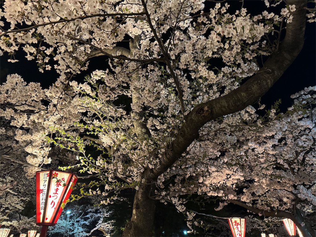 f:id:tateisu19:20240423225024j:image