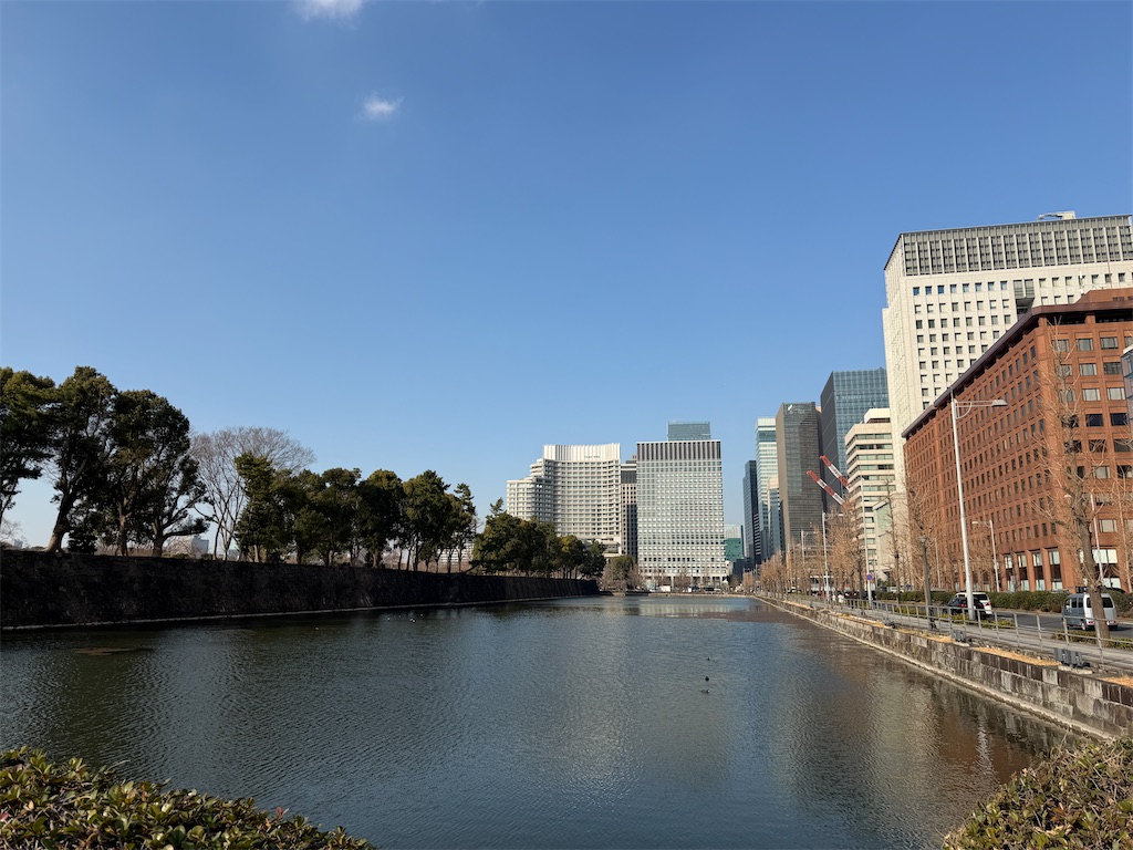 f:id:tateisu19:20260220222324j:image