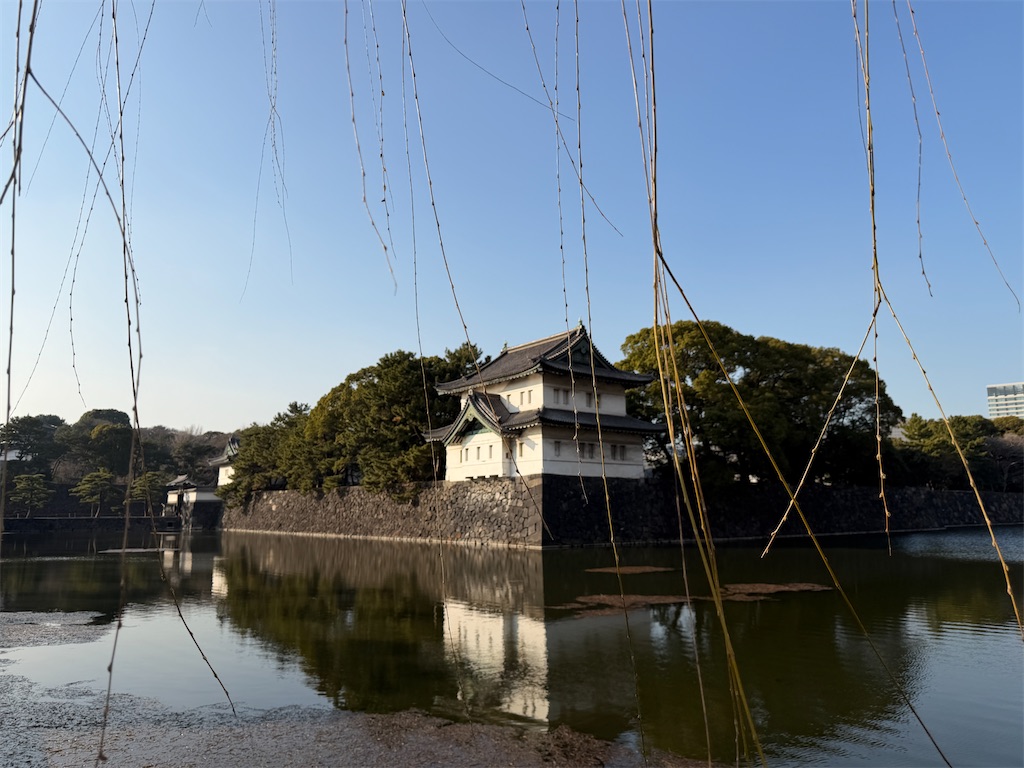 f:id:tateisu19:20260220222341j:image