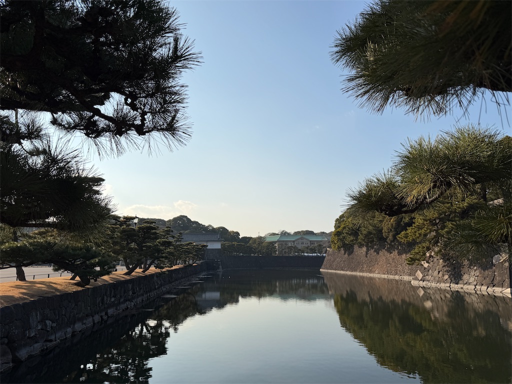 f:id:tateisu19:20260220222345j:image