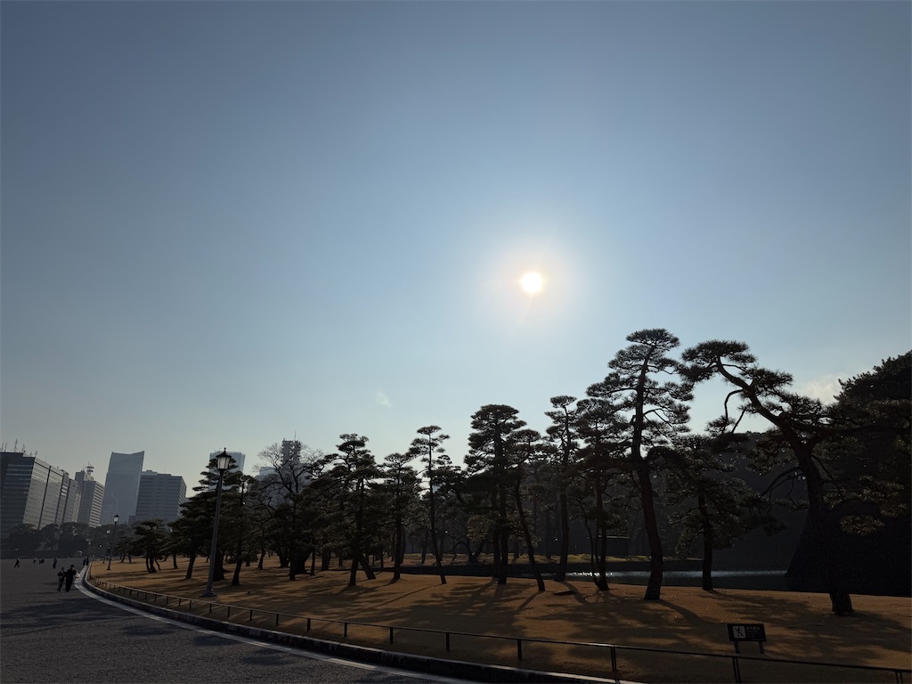 f:id:tateisu19:20260220222348j:image