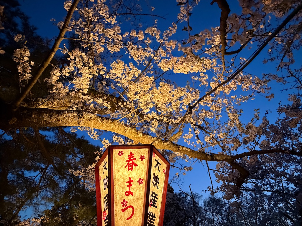 f:id:tateisu19:20260422223715j:image