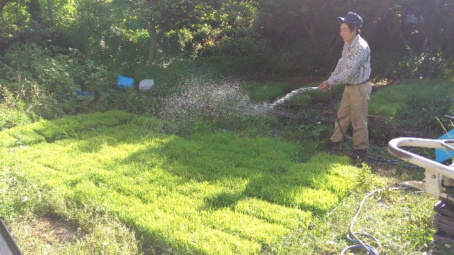 f:id:tatekawakim:20170616232121j:image f:id:tatekawakim:20170616232121j:image