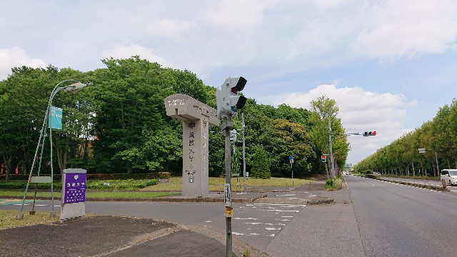 f:id:tatemonoya-ehara:20200529105827j:plain