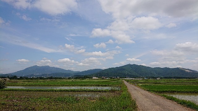 f:id:tatemonoya-ehara:20200529105921j:plain