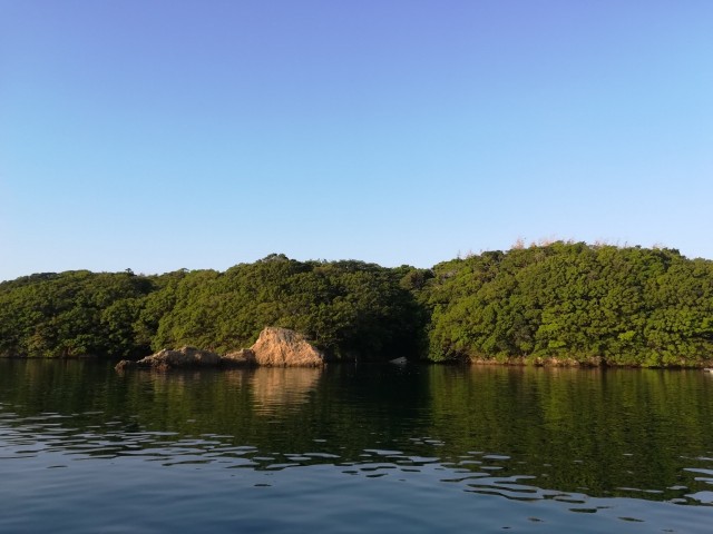 f:id:tatenokuni-mura:20190717193722j:image f:id:tatenokuni-mura:20190717193722j:image