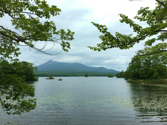 f:id:tatponpon:20190711175706j:plain f:id:tatponpon:20190711175706j:plain