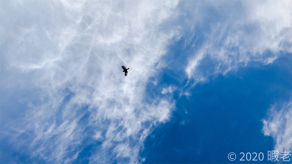 f:id:tats_note:20200411101941j:image