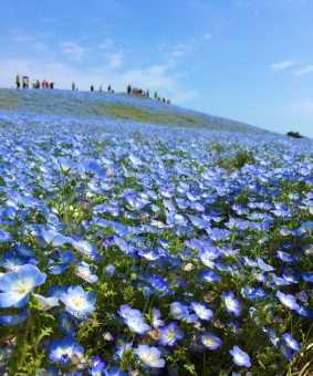 f:id:tatsu079:20190426000552j:plain