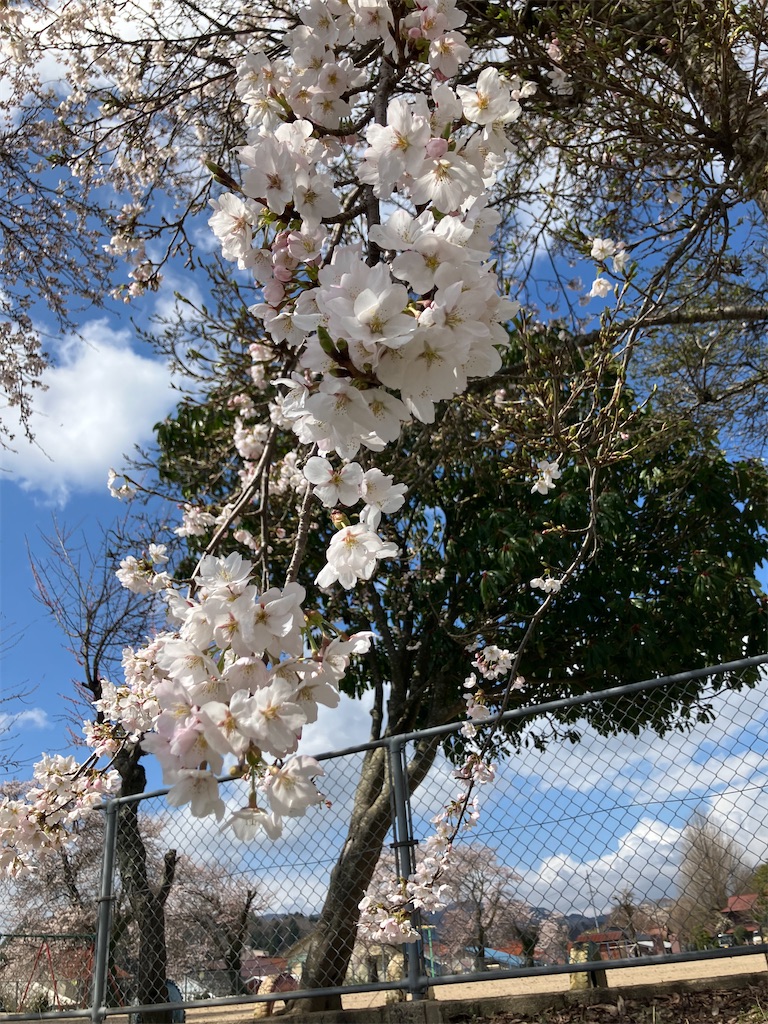 f:id:tatsu5:20260405170433j:image