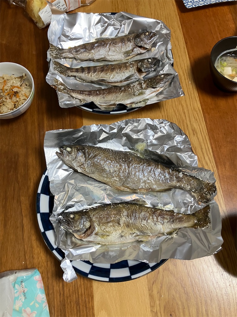 f:id:tatsu5:20260412212457j:image