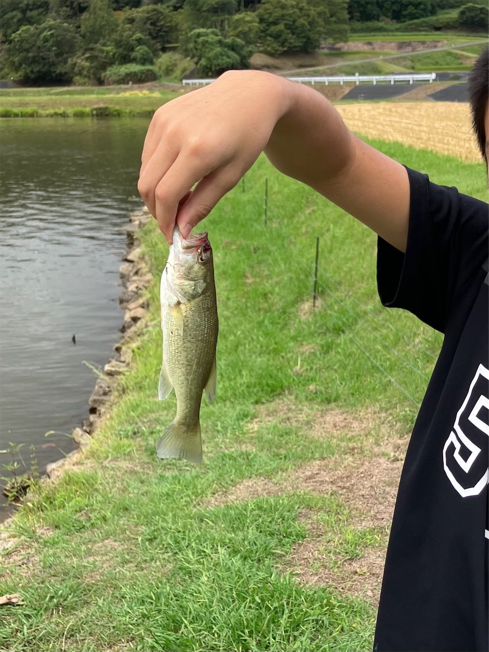 f:id:tatsu5:20260921200104j:image