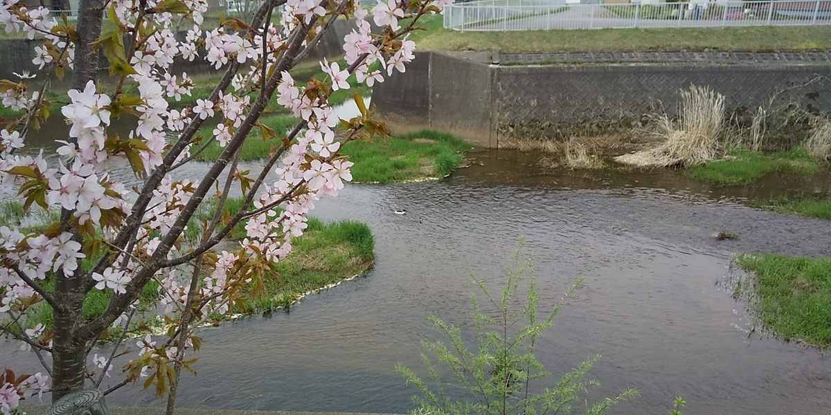 f:id:tatsuaki68:20200510215612j:plain f:id:tatsuaki68:20200510215612j:plain