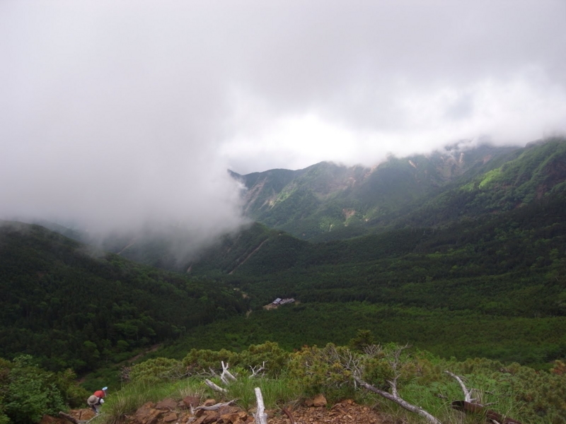 f:id:tatsuhara:20100717141246j:image:w360 f:id:tatsuhara:20100717141246j:image:w360