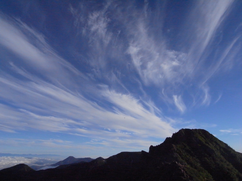 f:id:tatsuhara:20100718053337j:image:w360 f:id:tatsuhara:20100718053337j:image:w360