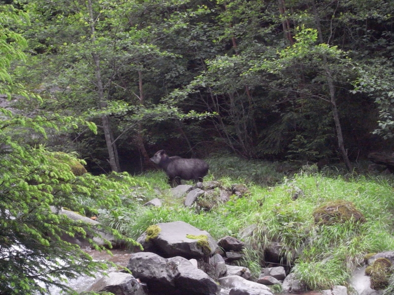 f:id:tatsuhara:20100718123817j:image:w360 f:id:tatsuhara:20100718123817j:image:w360