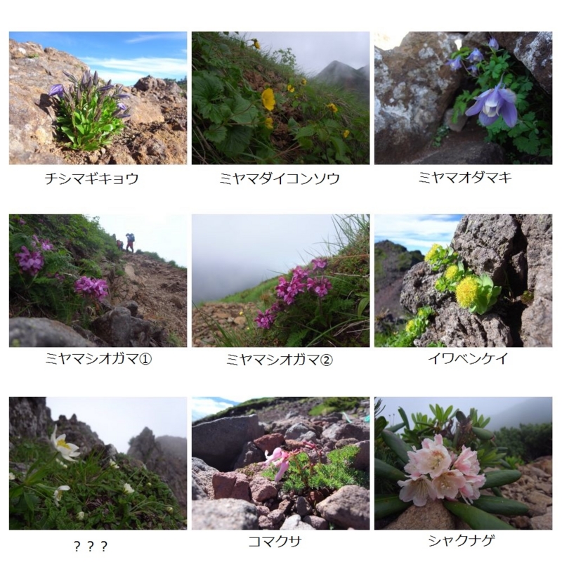 f:id:tatsuhara:20130716175254j:image:w640 f:id:tatsuhara:20130716175254j:image:w640