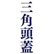 f:id:tatsuhiro_0094:20210908195624j:plain