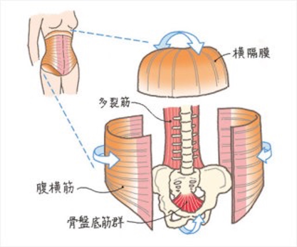 f:id:tatsuki52510:20181205130446j:image f:id:tatsuki52510:20181205130446j:image