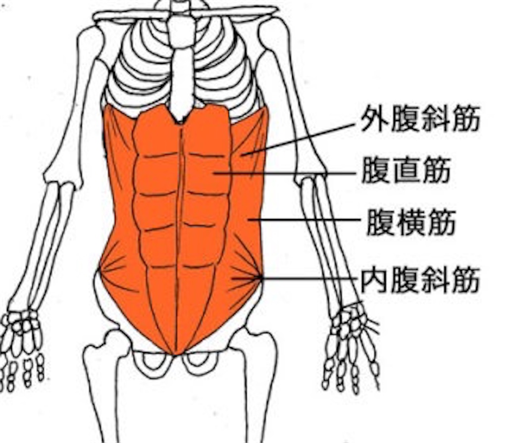 f:id:tatsuki52510:20181205130511j:image f:id:tatsuki52510:20181205130511j:image