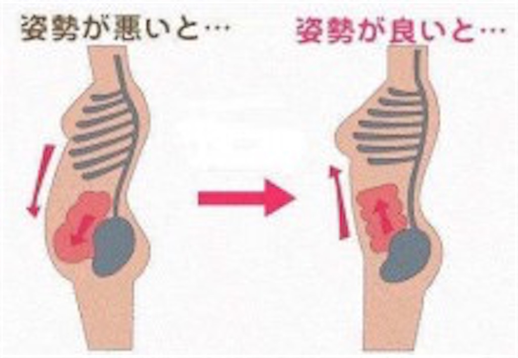 f:id:tatsuki52510:20181205130724j:image f:id:tatsuki52510:20181205130724j:image