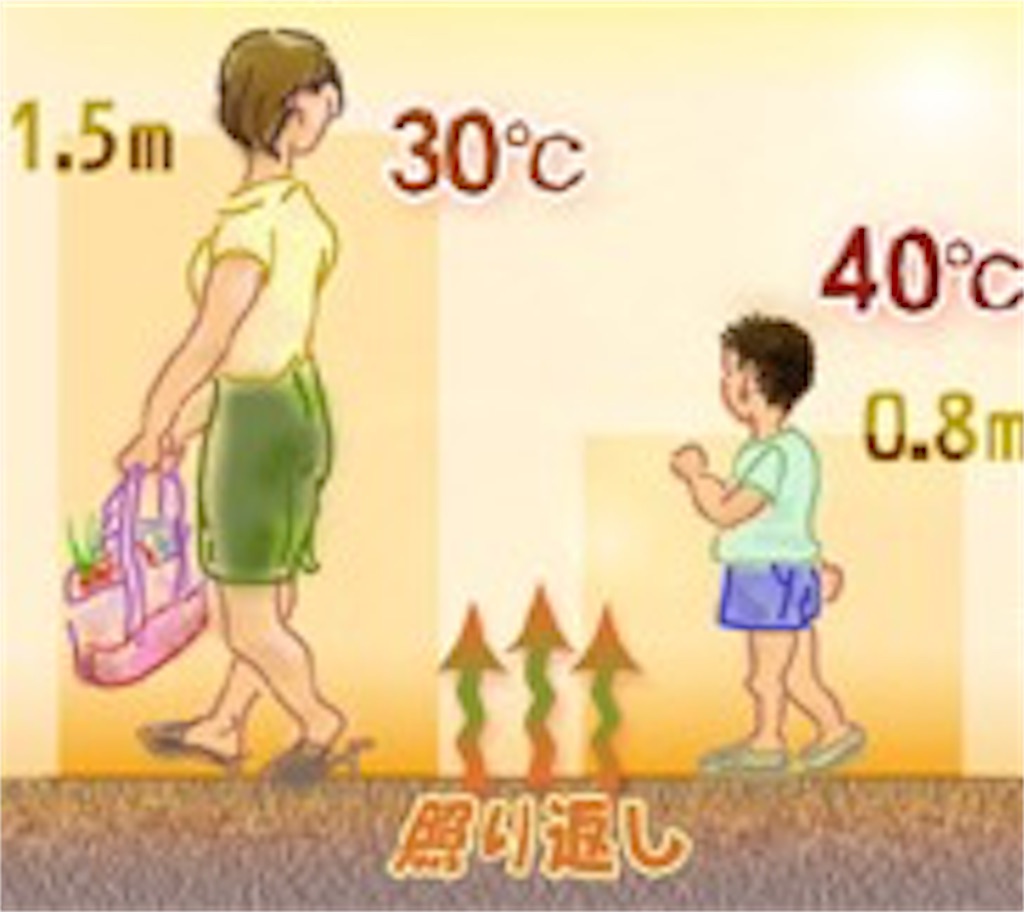 f:id:tatsuki52510:20190529214728j:image f:id:tatsuki52510:20190529214728j:image