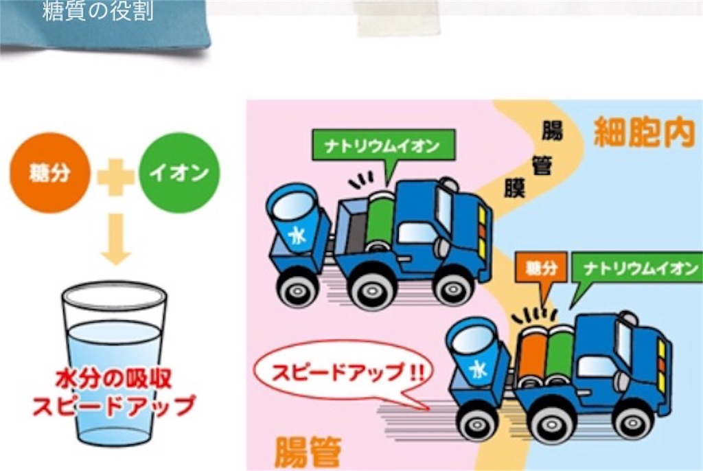 f:id:tatsuki52510:20190529220322j:image f:id:tatsuki52510:20190529220322j:image