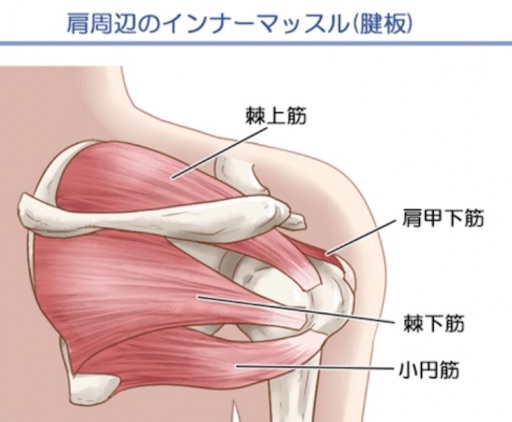 f:id:tatsuki52510:20201022210541j:image f:id:tatsuki52510:20201022210541j:image
