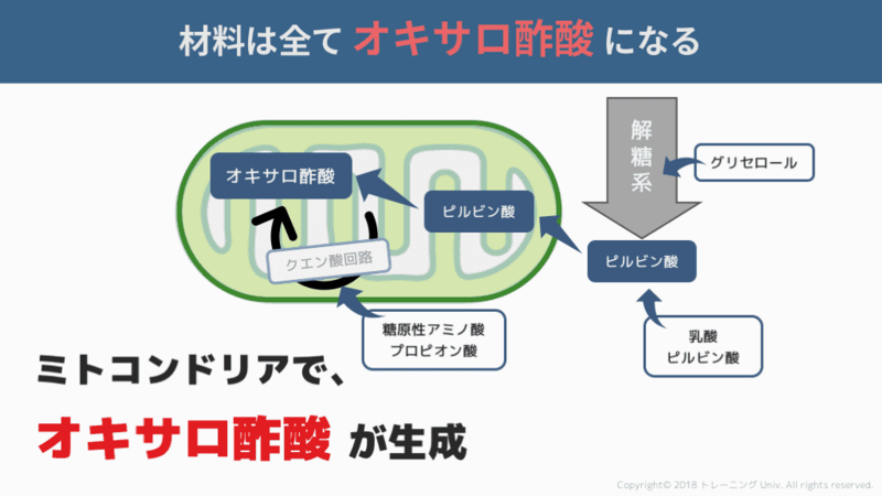 原生 アミノ酸 糖