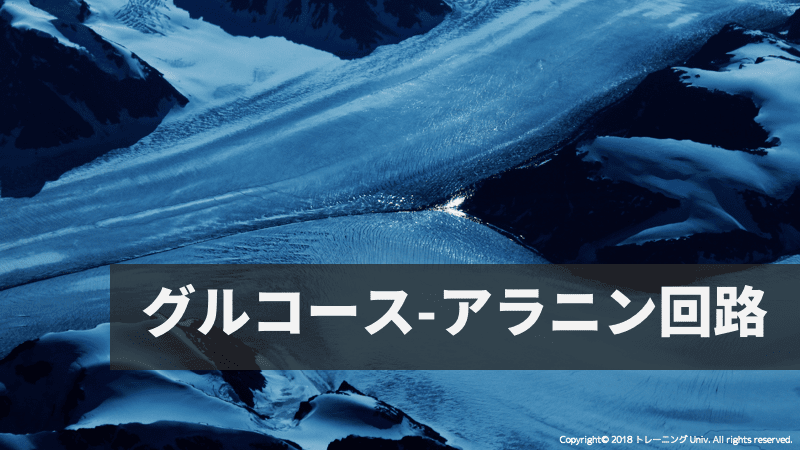 f:id:tatsuki_11_13:20180906061735p:image f:id:tatsuki_11_13:20180906061735p:image