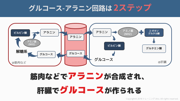 f:id:tatsuki_11_13:20180906061745p:image f:id:tatsuki_11_13:20180906061745p:image