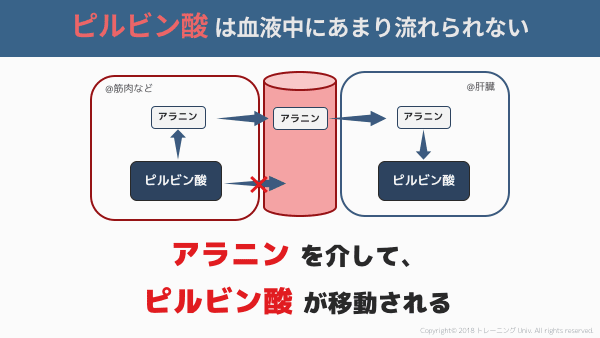 f:id:tatsuki_11_13:20180906061748p:image f:id:tatsuki_11_13:20180906061748p:image