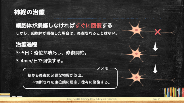 f:id:tatsuki_11_13:20181102034408p:plain