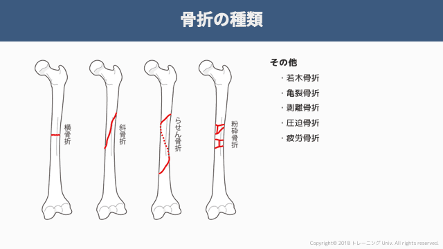 f:id:tatsuki_11_13:20181106065413p:image