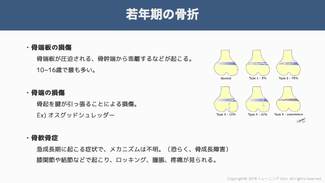 f:id:tatsuki_11_13:20181106065420p:image