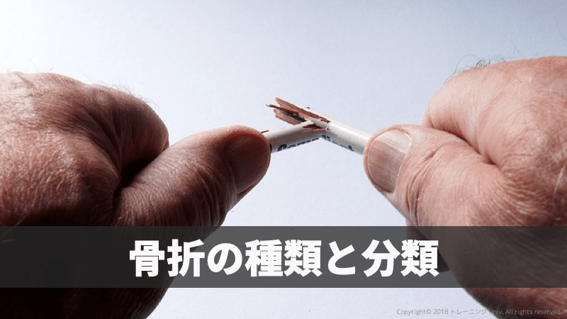 f:id:tatsuki_11_13:20181106065424p:image
