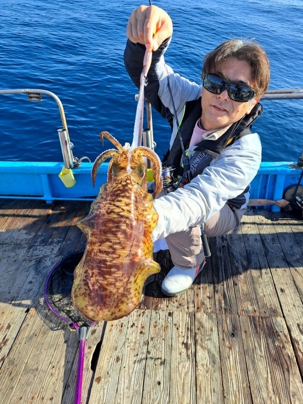 20231209ティップランでのアオリイカの釣果