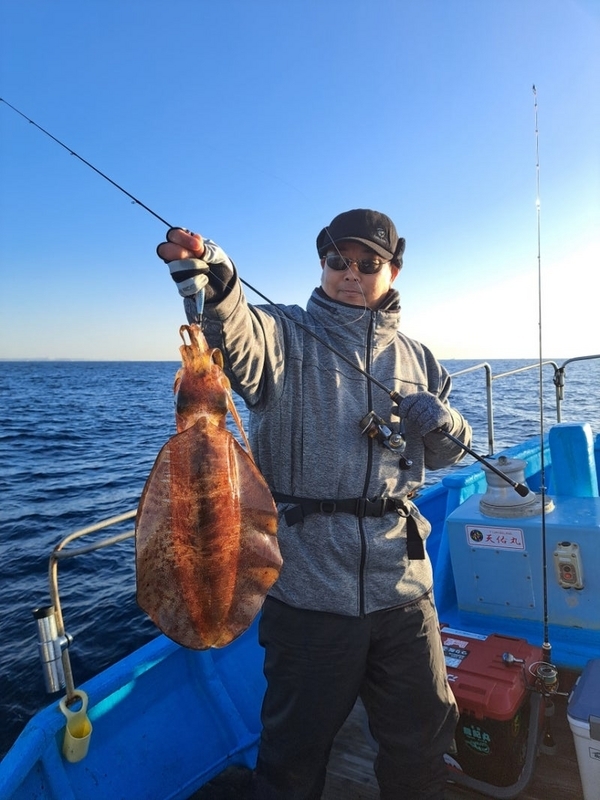 20231209ティップランでのアオリイカの釣果
